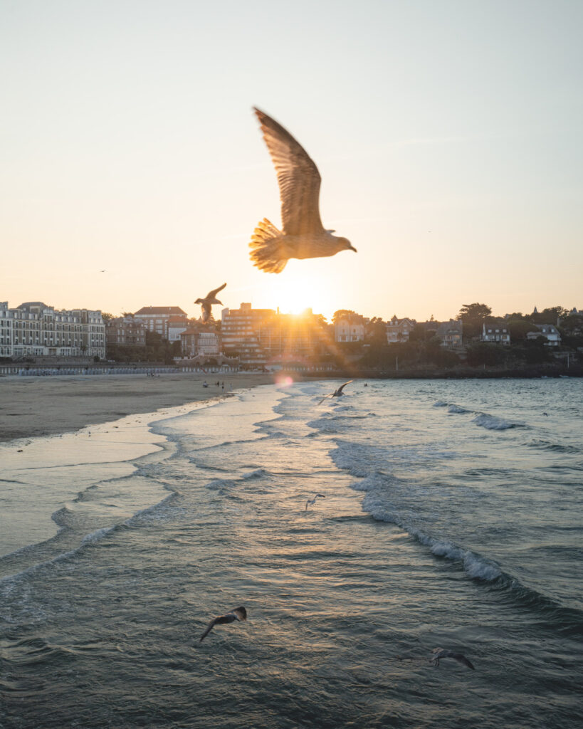 Hôtel du Château - visite à Saint-Lunaire